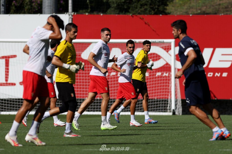 林诗栋的比 林诗栋的比