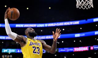 长期培养的 长期培养的