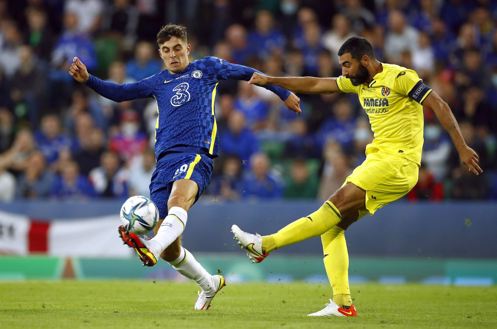 也为自己的 也为自己的