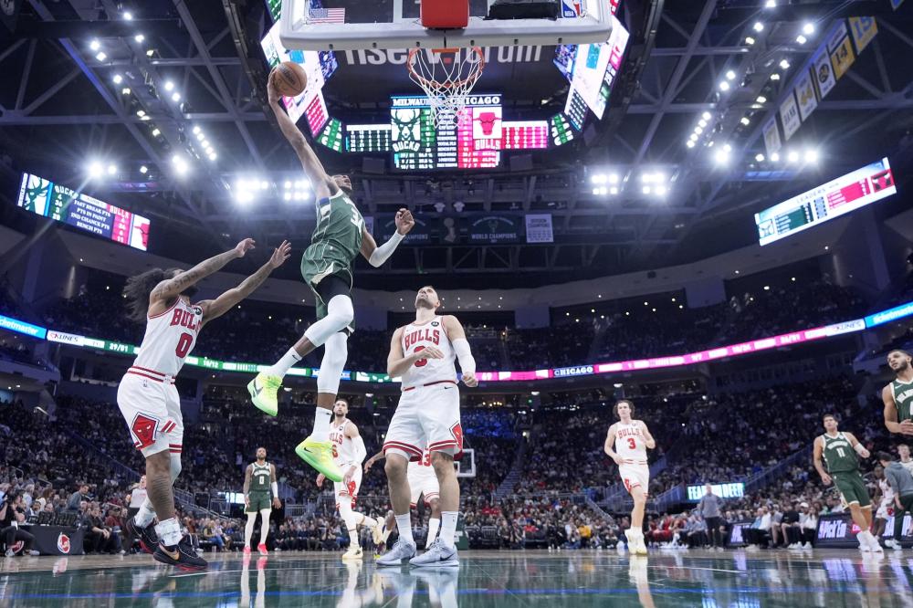 引了众多大 引了众多大